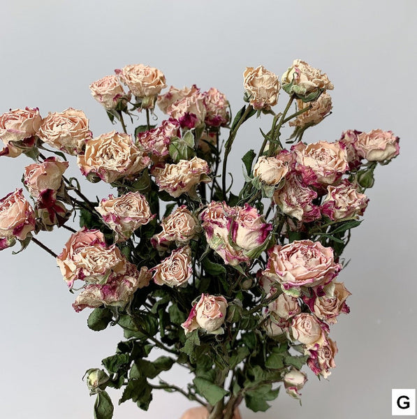 Red Yellow Purple Dried Rose Floral, Dried Rose Flower Bouquet, A Bouquet of Dried Rose Flowers, Natural Dried Rose Flower Bunches, A Bunch Dried Rose Flowers-HomePaintingDecor