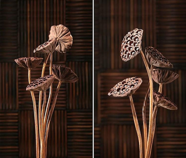 10 Stems Lotus Pods, Dried Lotus Pods, Natural Decor, Rustic Decor, Lotus Flower Arrangement-HomePaintingDecor
