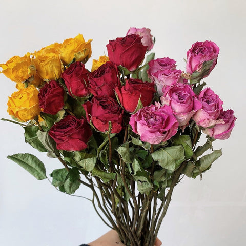 Dried Rose Floral Bouquet, Dried Rose Flowers, Natural Dried Rose Flower Bunches, A Bunch Dried Rose Flowers, Red Yellow Purple Dried Rose Flowers-HomePaintingDecor