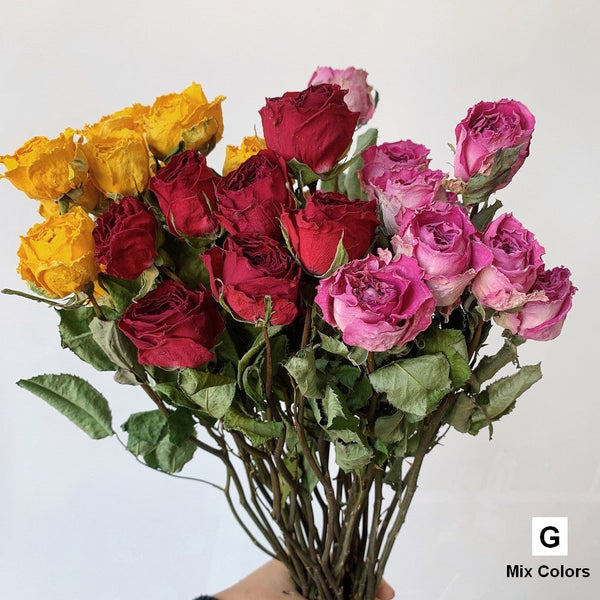 Natural Dried Rose Flower Bunches, Dried Rose Floral Bouquet, Dried Flowers, A Bunch Dried Rose Flowers, Red Yellow Purple Dried Rose Flowers-HomePaintingDecor