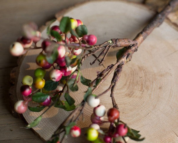 Cranberry Fruit Branch, Flower Arrangement Ideas for Living Room, Unique Artificial Flowers for Home Decoration, Spring Artificial Floral for Bedroom-HomePaintingDecor