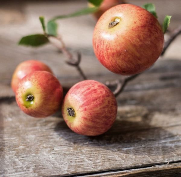 Apple Branch, Fruit Branch, Table Centerpiece, Beautiful Modern Flower Arrangement Ideas for Home Decoration, Autumn Artificial Floral for Dining Room-HomePaintingDecor