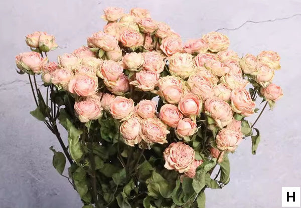Red Yellow Purple Dried Rose Floral, Dried Rose Flower Bouquet, A Bouquet of Dried Rose Flowers, Natural Dried Rose Flower Bunches, A Bunch Dried Rose Flowers-HomePaintingDecor