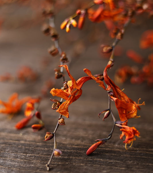 Natural Decorations, Flower Arrangement, Handmade Artificial Flower, Dried Fire Orchid Bouquet, Natural Dried Flowers-HomePaintingDecor