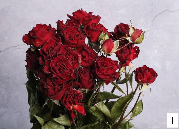A Bouquet of Dried Rose Flowers, Dried Rose Flower Bouquet, Natural Dried Rose Flower Bunches, A Bunch Dried Rose Flowers, Red Yellow Purple Dried Rose Floral-HomePaintingDecor