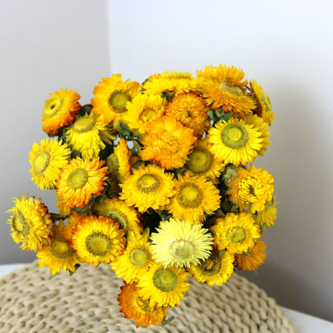 Natural Decorations, A Bunch of Dried Daisy Flowers, Flower Arrangements, Natural Dried Yellow Daisy Flowers, Handmade Artificial Flowers for Home Decor-HomePaintingDecor