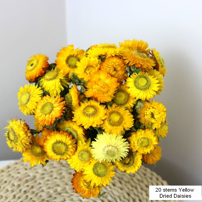 Natural Decorations, A Bunch of Dried Daisy Flowers, Flower Arrangements, Natural Dried Yellow Daisy Flowers, Handmade Artificial Flowers for Home Decor-HomePaintingDecor