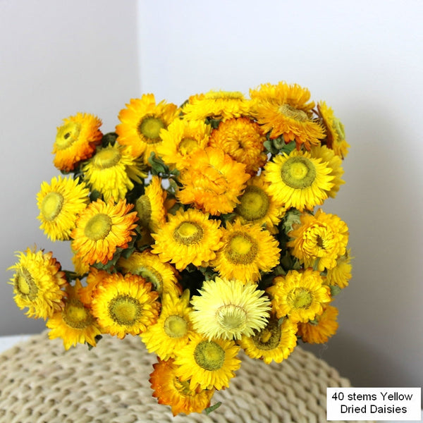 Natural Decorations, A Bunch of Dried Daisy Flowers, Flower Arrangements, Natural Dried Yellow Daisy Flowers, Handmade Artificial Flowers for Home Decor-HomePaintingDecor