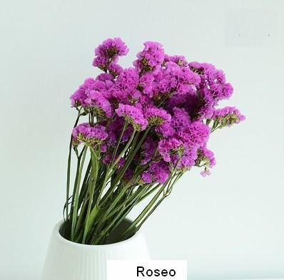 Dried Statices Flower, Dried Flowers, Flower Bunches, Dried Floral-HomePaintingDecor