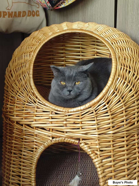Large Cat House Basket with Washable Cushion for Indoor Cats and Dogs, Double-Layer Cat Bed-HomePaintingDecor