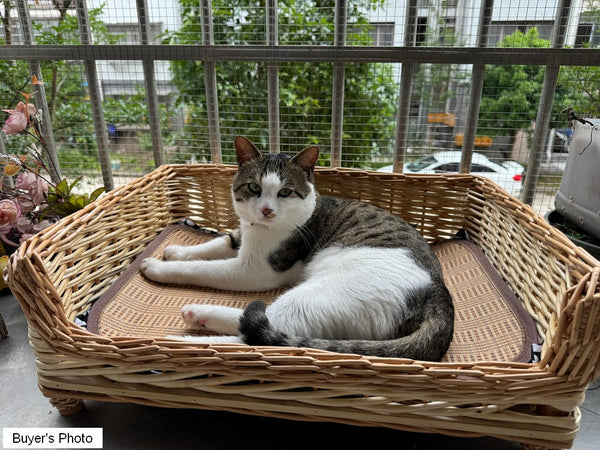 Large Natural Wicker Dog Bed with Washable Cushion for Indoor Cats and Dogs, Hand Woven Rattan Cat Beds-HomePaintingDecor