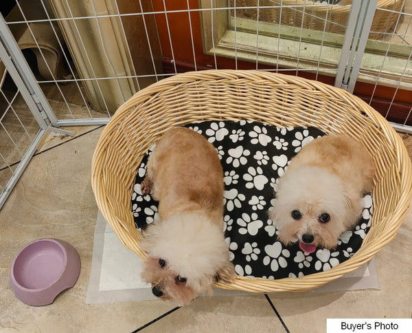Natural Wicker Dog Bed with Washable Cushion for Indoor Cats and Dogs, Hand woven Rattan Cat Beds-HomePaintingDecor
