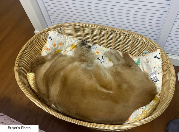 Natural Wicker Dog Bed with Washable Cushion for Indoor Cats and Dogs, Hand woven Rattan Cat Beds-HomePaintingDecor