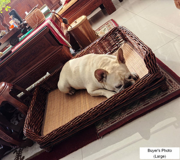 Hand Woven Rattan Cat Beds, Extra Large Natural Wicker Dog Bed with Washable Cushion for Indoor Cats and Dogs-HomePaintingDecor