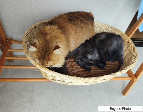 Hand woven Rattan Cat Beds, Extra Large Natural Wicker Dog Bed with Washable Cushion for Indoor Cats and Dogs-HomePaintingDecor