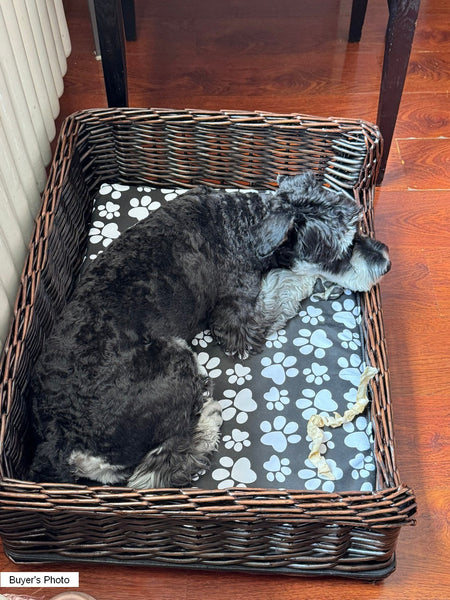 Large Natural Wicker Dog Bed with Washable Cushion for Indoor Cats and Dogs, Hand Woven Rattan Cat Beds-HomePaintingDecor