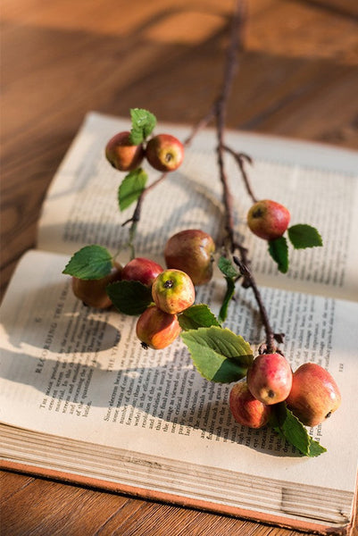 Beautiful Modern Flower Arrangement Ideas for Home Decoration, Apple Branch, Fruit Branch, Table Centerpiece, Simple Artificial Floral for Dining Room-HomePaintingDecor