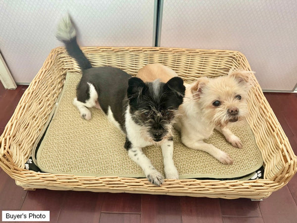 Large Natural Wicker Dog Bed with Washable Cushion for Indoor Cats and Dogs, Hand Woven Rattan Cat Beds-HomePaintingDecor