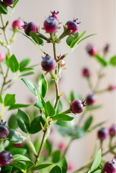 Simple Artificial Flowers for Living Room, Blueberry Fruit Branch, Flower Arrangement Ideas for Home Decoration, Spring Artificial Floral for Bedroom-HomePaintingDecor