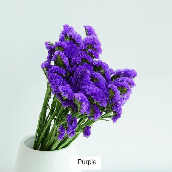 Dried Statices Flower, Dried Flowers, Flower Bunches, Dried Floral-HomePaintingDecor
