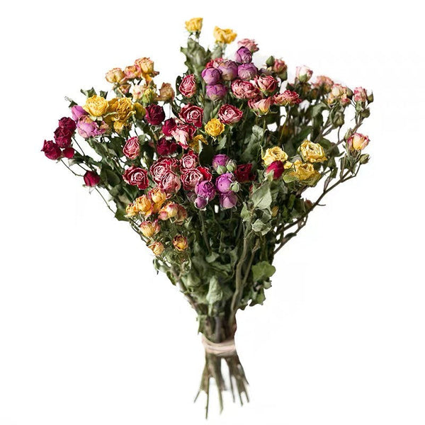 A Bouquet of Dried Rose Flowers, Dried Rose Flower Bouquet, Natural Dried Rose Flower Bunches, A Bunch Dried Rose Flowers, Red Yellow Purple Dried Rose Floral-HomePaintingDecor