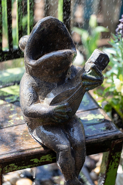Garden Animal Statues, Unique Modern Garden Sculptures, Frog Flowerpot for Garden Decoration, Beautiful Cute Frog Statues, Creative Villa Outdoor Gardening Ideas-HomePaintingDecor