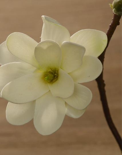 Artificial White Magnolia Stem, Artificial Flower, Silk Flowers, Flux Flowers, Artificial Floral-HomePaintingDecor