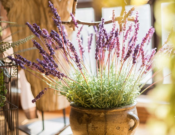 Lavender Flowers, Spring Artificial Floral for Dining Room, Bedroom Flower Arrangement Ideas, Simple Modern Floral Arrangement Ideas for Home Decoration-HomePaintingDecor